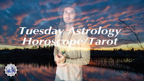 Daily Astrology Horoscope/Tarot February 1st 2022. (All Signs)