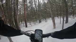 Polar Rollin through the Snow! ( Fatback Rhino )