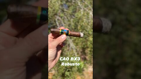 Quick Stick: CAO BX3 Robusto #shorts #brazil #gold