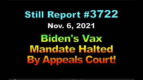 Biden’s Vax Mandate Halted by Appeals Court, 3722