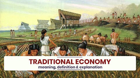 What is TRADITIONAL ECONOMY?