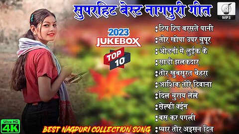 SUPERHITS LOVE ROMANTIC NAGPURI NONSTOPE SONG !! TOP 10 ROMANTIC NAGPURI SONG !! AUDIO JUKEBOX SONG