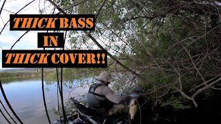 Pulling CLEAR LAKE Bass out of HEAVY COVER