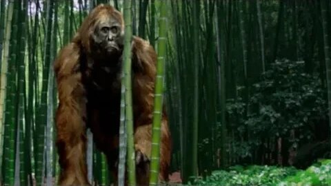 Gigantopithecus - Ancient Animal