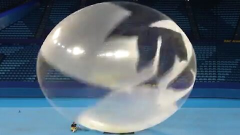 A HUGE burst of a HUGE balloon in slow motion