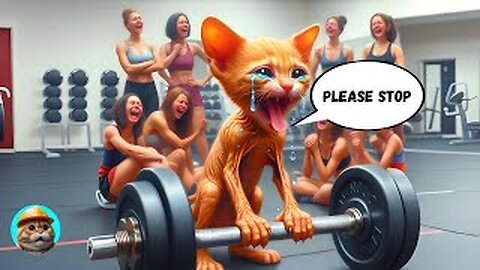 Cat's Gym Experience Turns Ugly : Bullied and Alone !