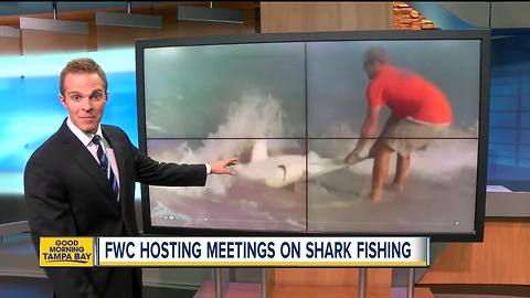 FWC may change shore-based shark fishing rules