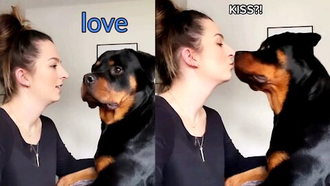 Dog loving to beautiful girl and doing kiss omg 😛😛