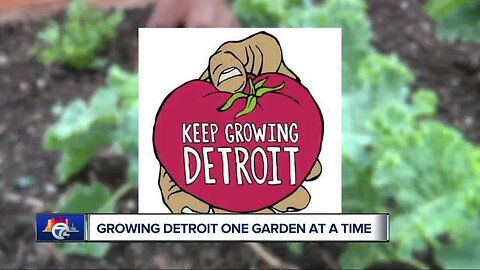 Keep Growing Detroit Farm is making a difference in the community in our 7 in Your Neighborhood Series