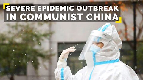 CCP-Virus Pandemic Daily Updates EP309 (Nov 29, 2020)