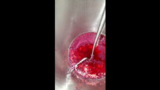 Transferring blackberry wine into a carboy part two