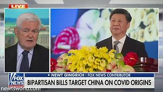 Newt Gingrich on Fox News Channel's America's Newsroom | May 28, 2021