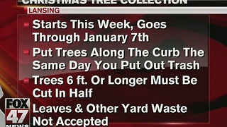 City of Lansing offering tree collection