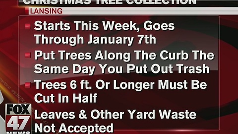 City of Lansing offering tree collection