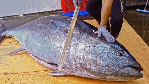 World's Sharpest Tuna Knife！Amazing Giant bluefin tuna cutting Master😊😊😛