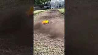 Dirt drifting