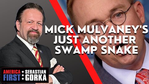 Mick Mulvaney's just another Swamp Snake. Sebastian Gorka on AMERICA First