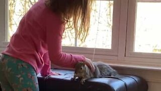 Girl and squirrel are best friends