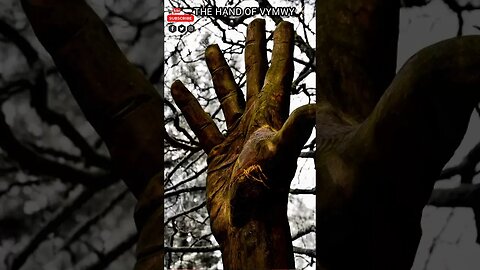 The hand of vymwy / #স্পন্দন #amazingfact #symonororke #thehandofvymwy #nature