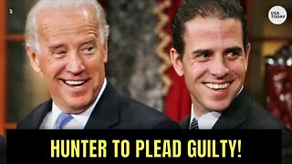 Hunter Biden to plead guilty to tax-related crimes - is this the First Domino to fall?