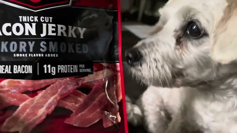 No jerky for you!