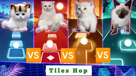 VIDA DE RICO CAT VS BELIEVER CAT VS MONEY CAT VS COFFIN DANCE CAT | Tiles Hop