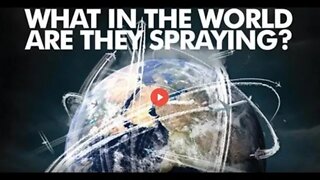 What in the World are they Spraying? (2010)