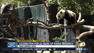 Celebration for 23 years of San Diego Zoo panda research