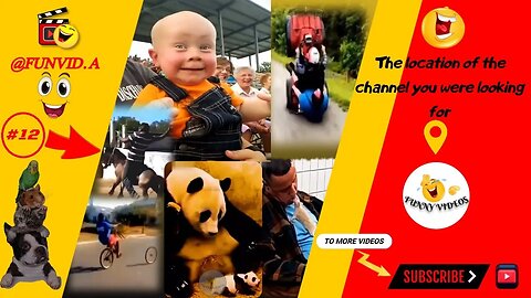 Funny & Fails Video : Funny Moments with Humans, Animals & Babies (new 2023)