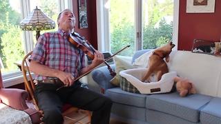 "Amazing Violin And Dog Duet"