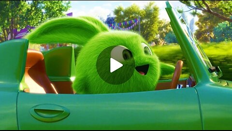 SUNNY BUNNIES - LITTLE RACERS | Videos For Kids | Funny Videos