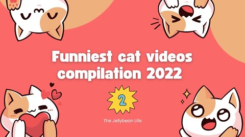 Funniest Cat Videos Compilation 2 #funnycats2022 #thejellybeanlife