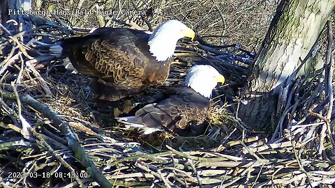 Hays Eagles Mom Foots Dad "Time to Get up"! 31823 842AM