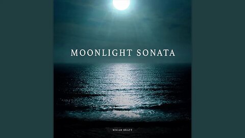 Beethoven - Moonlight Sonata (1st Movement) High Quality Piano