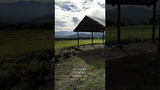 Suasana Gunung Dempo Pagar Alam Di Pagi hari. Sejuk dan indah. #shorts #short #shortvideo