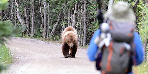 Bear attack on bikers ! MUST WATCH !
