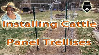 #installing #Cattlepanel #trellis