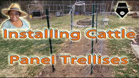 #installing #Cattlepanel #trellis