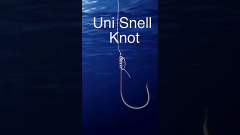 Uni Snell Knot - how to tie EASY STRONG fishing knot for live bait and more!