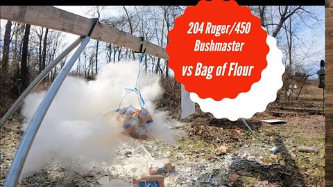 204 Ruger/450 Bushmaster vs bag of Flour