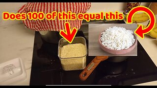 Is a 100 grains of rice equal to a bowl of rice?