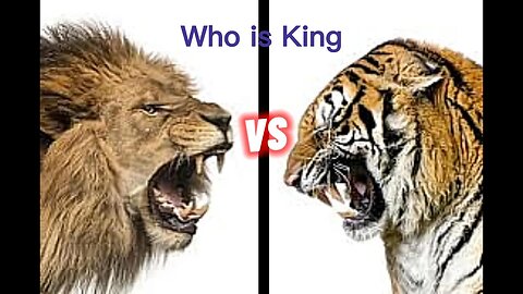 Who is the True King of the Jungle