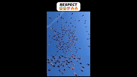 Respect 💯😱🔥🤯, Sky Diving #reels #respect💯 #shortsfeed #ytshorts #youtubeshorts #viral