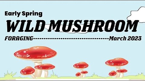 Early spring Wild Mushroom Foraging -March 2023