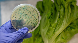 CDC and FDA Declare Lettuce Safe to Eat and E.Coli Outbreak Over