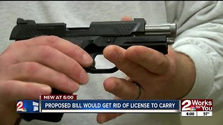 Proposed bill wouldn't require license to carry