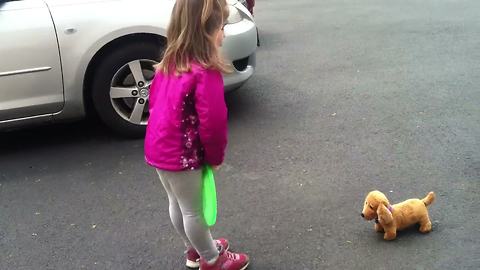 Tot Girl Plays Fetch With Toy Dog