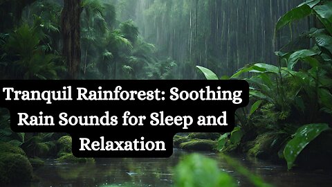 Tranquil Rainforest: Soothing Rain Sounds for Sleep and Relaxation