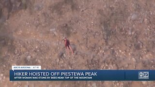Hiker hoisted off Piestewa Peak after stung by bees