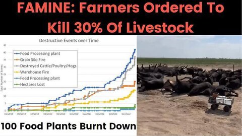 DUTCH FARMERS HAVE BEEN TOLD TO KILL OFF 30% OF THEIR LIVESTOCK. FOR A STUPID REASON